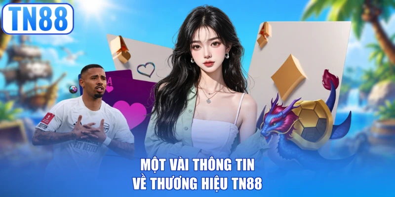 Một vài thông tin về thương hiệu TN88